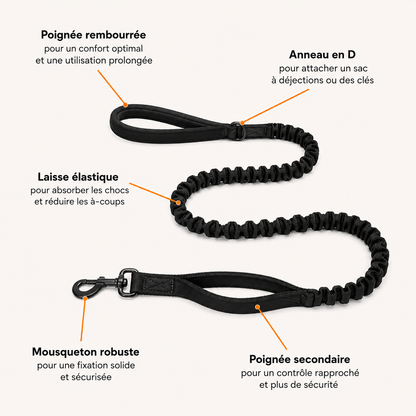 Harnais anti-traction pour chien Nuvyka