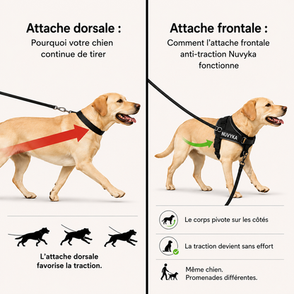 Harnais anti-traction pour chien Nuvyka