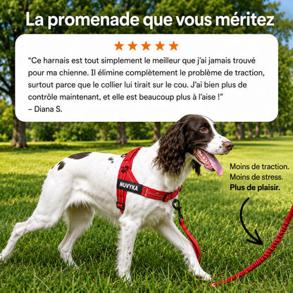 Harnais anti-traction pour chien Nuvyka