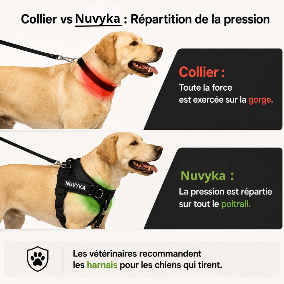 Harnais anti-traction pour chien Nuvyka